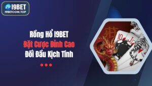 Rồng hổ i9bet